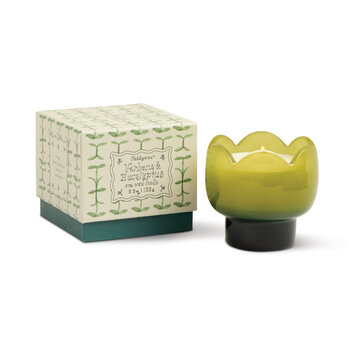 Paddywax - PA PA CALA - Tulip Glass Candle, Verbena & Lemongrass Green