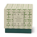 Paddywax - PA PA CALA - Tulip Glass Candle, Verbena & Lemongrass Green