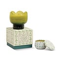 Paddywax - PA PA CASM - Tulip Printed Tin Candle, Verbena & Lemongrass (2 oz)