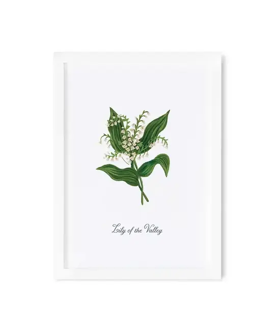 Rifle Paper Co - RP RP RPSM - Birth Month Flower