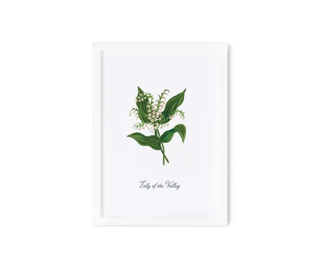 Rifle Paper Co - RP RP RPSM - Birth Month Flower