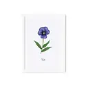 Rifle Paper Co - RP RP RPSM - Birth Month Flower