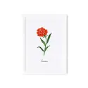 Rifle Paper Co - RP RP RPSM - Birth Month Flower