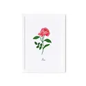 Rifle Paper Co - RP RP RPSM - Birth Month Flower