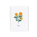 Rifle Paper Co - RP RP RPSM - Birth Month Flower