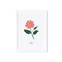 Rifle Paper Co - RP RP RPSM - Birth Month Flower