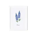 Rifle Paper Co - RP RP RPSM - Birth Month Flower