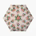 Rifle Paper Co - RP RP AC - Dahlia Umbrella