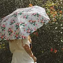 Rifle Paper Co - RP RP AC - Dahlia Umbrella