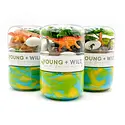 Young + Wild and Friedman - YWF YWF BKTO - Dinosaur Grab & Go Sensory Dough Jar