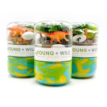 Young + Wild and Friedman - YWF YWF BKTO - Dinosaur Grab & Go Sensory Dough Jar
