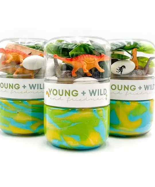 Young + Wild and Friedman - YWF YWF BKTO - Dinosaur Grab & Go Sensory Dough Jar