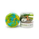 Young + Wild and Friedman - YWF YWF BKTO - Dinosaur Grab & Go Sensory Dough Jar