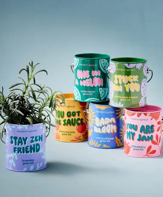 Modern Sprout - MOS MOS GO - One in a Melon Complimentary Color Watermelon Grow Kit