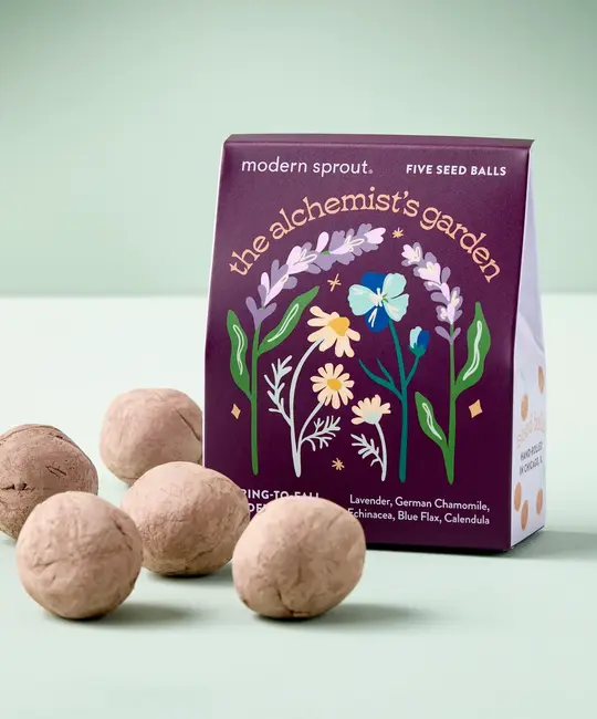 Modern Sprout - MOS MOS GO - The Alchemist's Garden Bespoke Blooms Seed Ball Grow Kit