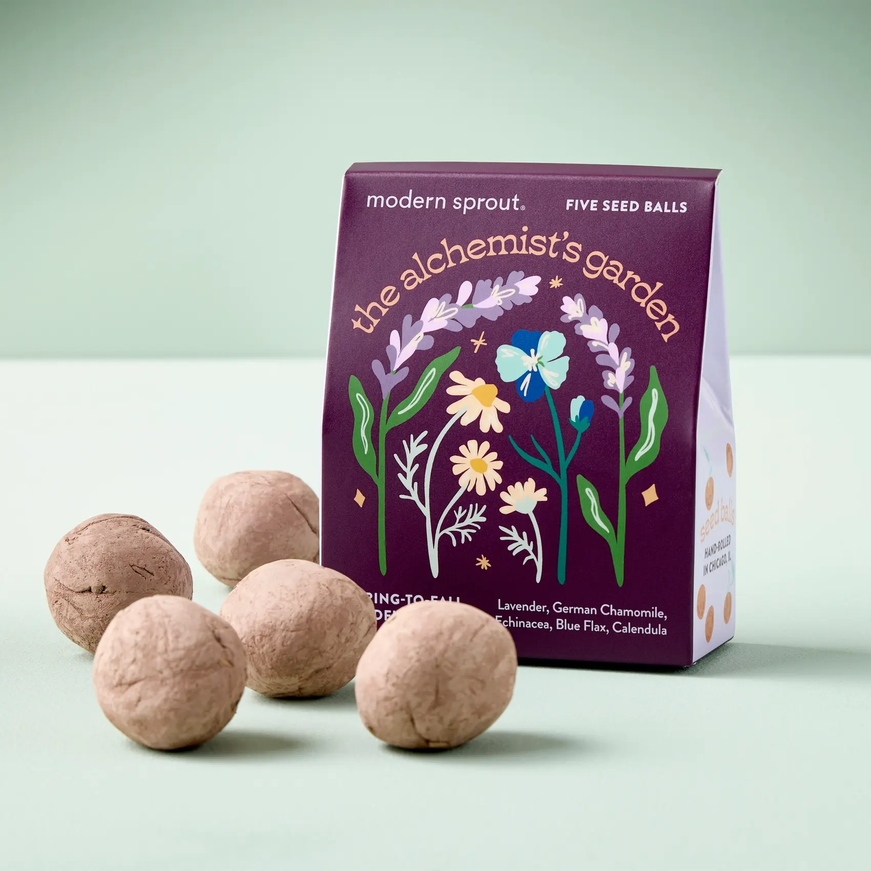 Modern Sprout - MOS MOS GO - The Alchemist's Garden Bespoke Blooms Seed Ball Grow Kit