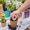 Modern Sprout - MOS MOS GO - The Alchemist's Garden Bespoke Blooms Seed Ball Grow Kit