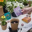Modern Sprout - MOS MOS GO - The Alchemist's Garden Bespoke Blooms Seed Ball Grow Kit