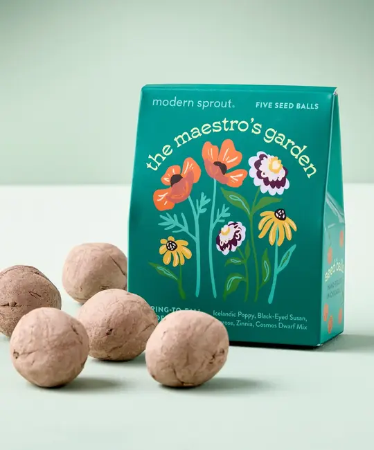 Modern Sprout - MOS MOS GO - The Maestro's Garden Bespoke Blooms Seed Ball Grow Kit
