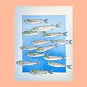 Christina Hu - CHH CHH PRSM - School of Fish Risograph Print, 8.5" x 11"