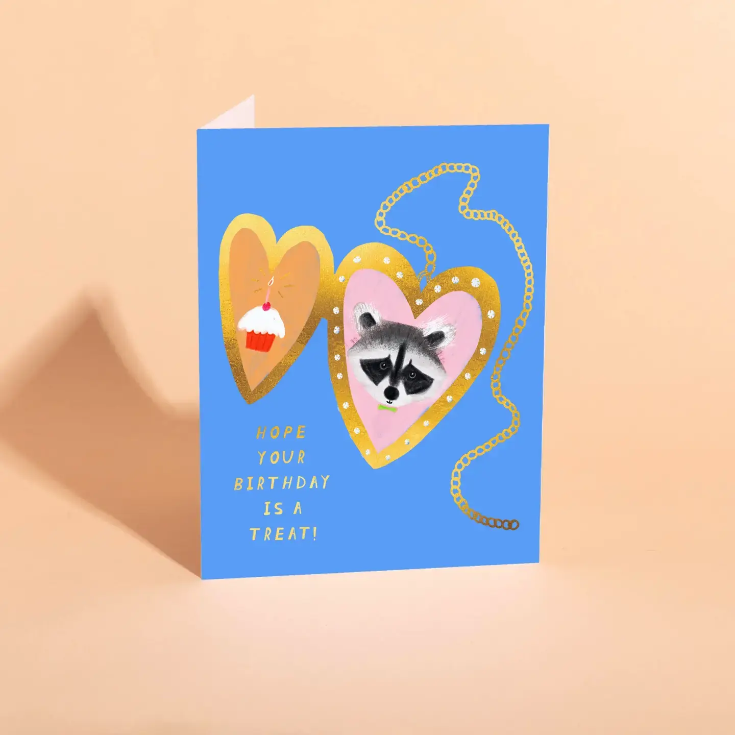 Carolyn Suzuki - CSU CSUGCBI0031 - Raccoon Pal Locket Birthday Card