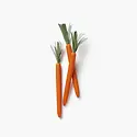 Rifle Paper Co - RP RP OS - Bunch of Carrots Pen Set