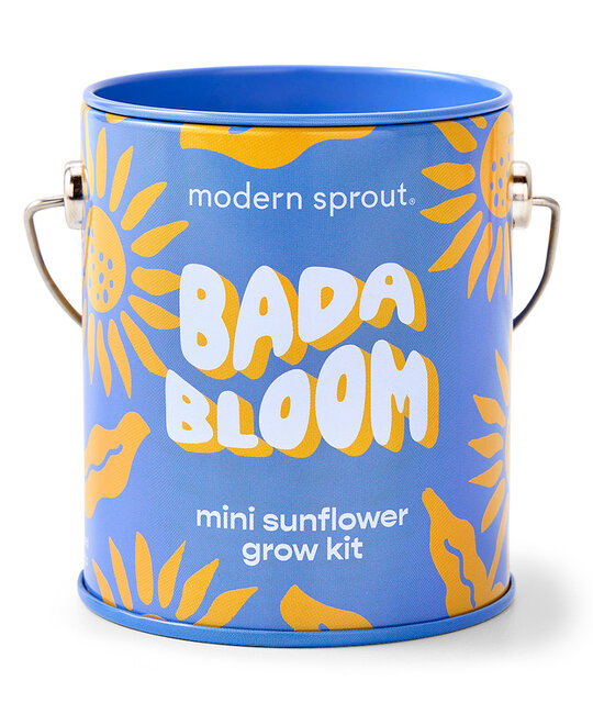 Modern Sprout - MOS Bada Bloom Complimentary Color Mini Sunflower Grow Kit