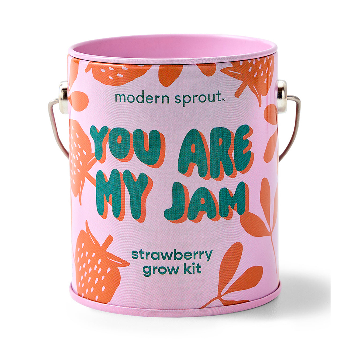 Modern Sprout - MOS You're My Jam Complimentary Color Strawberry Grow Kit