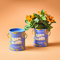 Modern Sprout - MOS Bada Bloom Complimentary Color Mini Sunflower Grow Kit