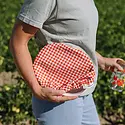 Paper Farm Press - PFP PFP HGKL - Tomato Vine Reusable Fabric Bowl Cover Set of 2