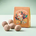 Modern Sprout - MOS MOS GO - The Poet's Garden Bespoke Blooms Seed Ball Grow Kit