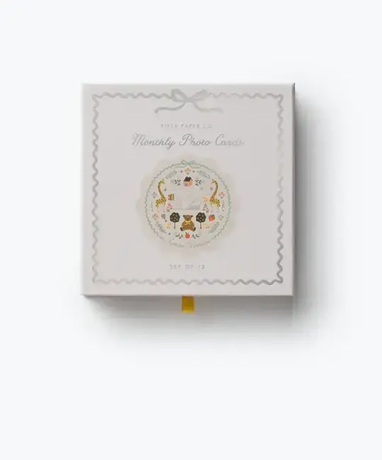 Rifle Paper Co - RP RP BKBB - Storybook Milestone Month Photo Cards