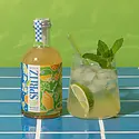 Mixly - MIX MIX FAD - Elderflower Mint Spritz Mixer
