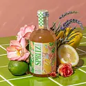 Mixly - MIX MIX FAD - Italian Lemon & Rose  Spritz Mixer