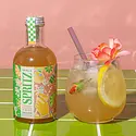 Mixly - MIX MIX FAD - Italian Lemon & Rose  Spritz Mixer