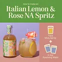 Mixly - MIX MIX FAD - Italian Lemon & Rose  Spritz Mixer