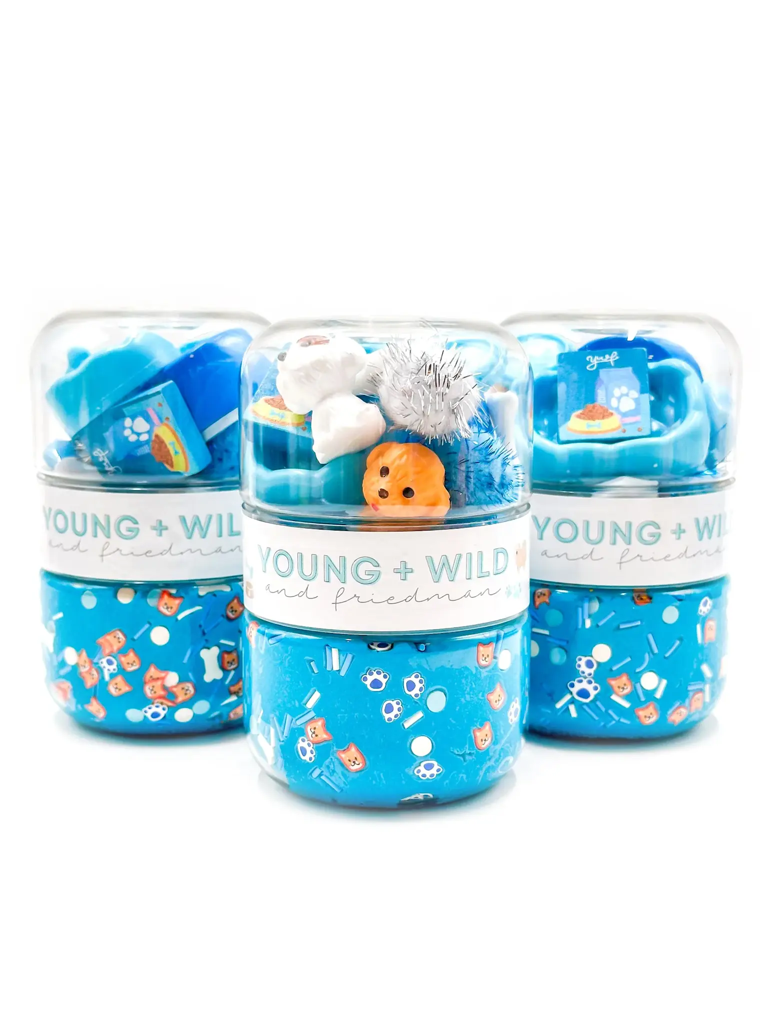Young + Wild and Friedman - YWF YWF BKTO - Blue Pet Shop Grab & Go Sensory Dough Jar
