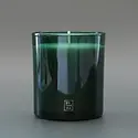 Botanica - BOT BOT CALA - Fraser Fir  Green Glass 12 oz. Holiday Candle