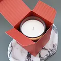 Botanica - BOT BOT CALA - Harvest Pumpkin Amber Glass 12 oz. Holiday Candle