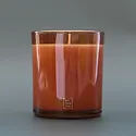 Botanica - BOT BOT CALA - Harvest Pumpkin Amber Glass 12 oz. Holiday Candle