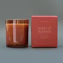 Botanica - BOT BOT CALA - Harvest Pumpkin Amber Glass 12 oz. Holiday Candle