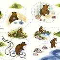 Chronicle Books - CB CB BOCB - Our Islands by Phoebe Roze