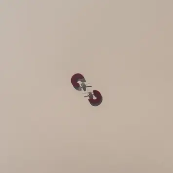 Nat + Noor - NAN NAN JEEA - Mali Earrings in Maraschino Cherry