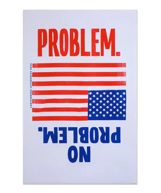 Ladyfingers Letterpress - LF LF PR - Problem, No Problem Flag  Protest Poster