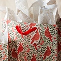 Rifle Paper Co - RP RP GBLA - Cardinals Large Gift Bag