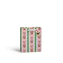 Rifle Paper Co - RP RP GBME- Candy Cane Stripe Medium Gift Bag