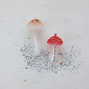 Creative Co-Op - CCO CCO OR - Mushroom Glass Ornament (assorted)