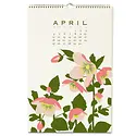 Snow and Graham - SG SG CAWA - 2027 Wall Calendar