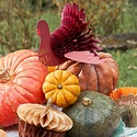 Meri Meri - MEM MEM PSDE - Honeycomb Thanksgiving Table Decorations
