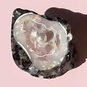 LIC ACHA - Oyster with Pearl Claw Hair Clip